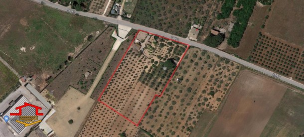 Terreno agricolo in vendita C.da Montecalvo, Vittoria (RG)
